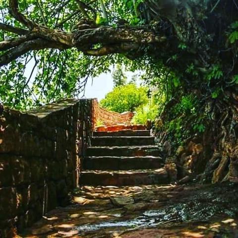 Le Petit Jardin Bed & Breakfast Demnat Luaran gambar